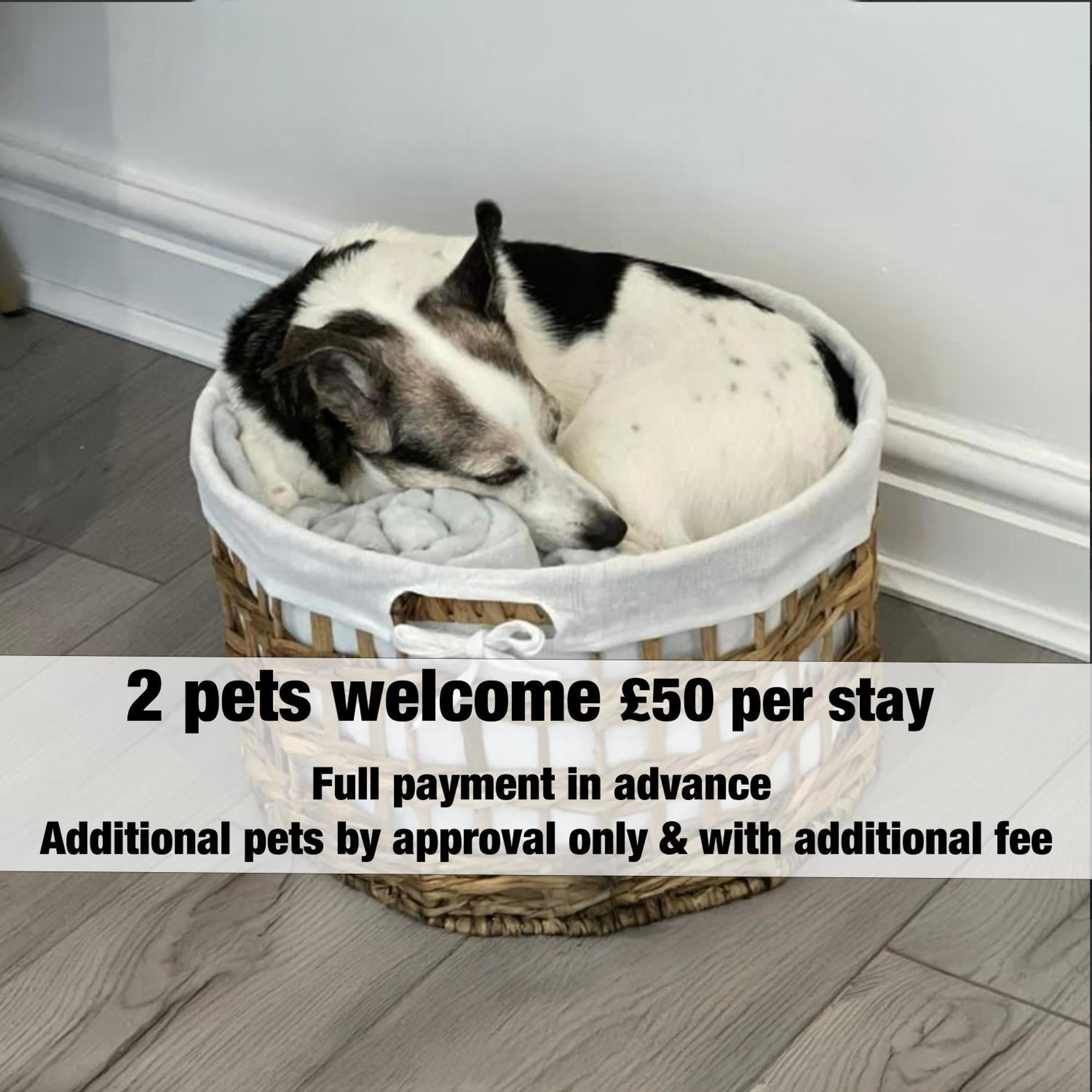 Amber Delightful Moseley Mews, By Staystaycations Apartment